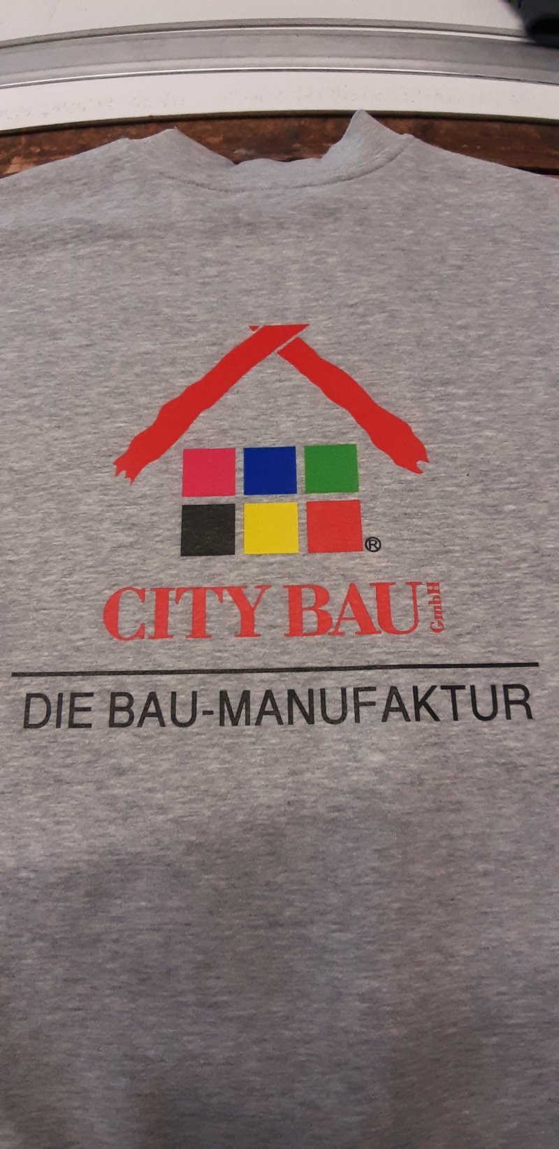 Graues Sweatshirt mit mehrfarbigem Firmenlogo auf dem Rücken